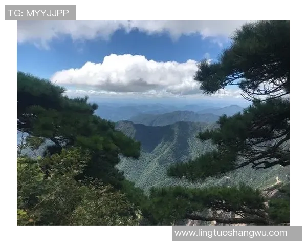 赛后分析:杭州羽毛球队与南京羽毛球队的战术意识与表现对比